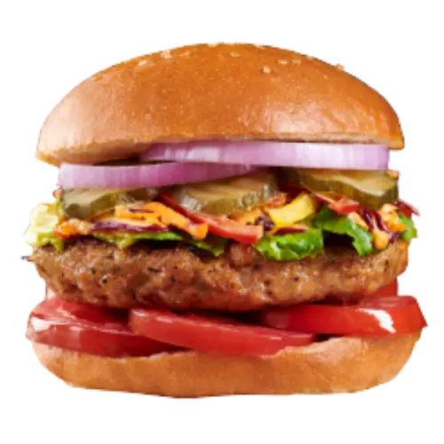 Non-VegBburger